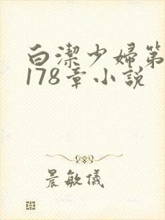 白洁少妇第1一178章小说封面