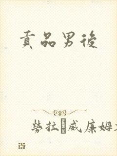 贡品男后