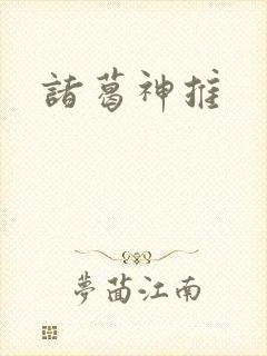 诸葛神推