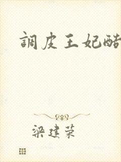 调皮王妃酷王爷封面