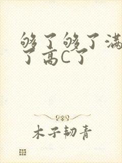 够了够了满到C了高C了封面