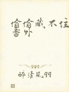 偷偷藏不住新婚番外