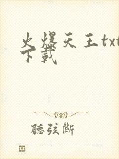 火爆天王txt下载