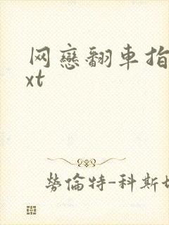 网恋翻车指南txt