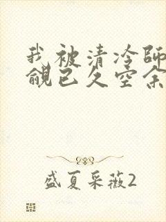 我被清冷师兄觊觎已久空余恨封面