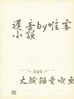 迟音by唯雾的小说