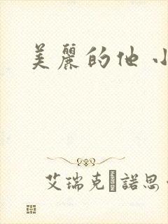 美丽的他 小说
