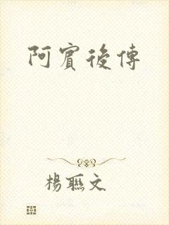 阿宾后传封面