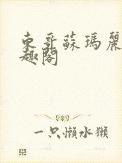 东哥苏玛丽 笔趣阁封面