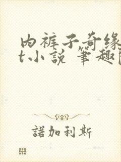 内裤子奇缘txt小说 笔趣阁封面