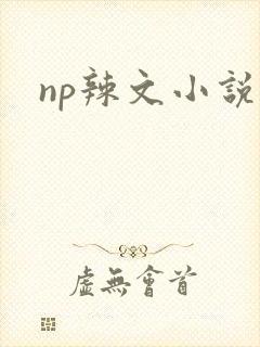 np辣文小说
