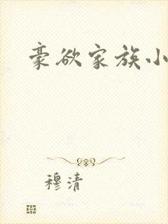 豪欲家族小说