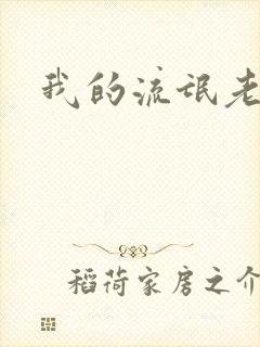 我的流氓老师封面