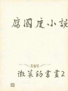 腐国度小说