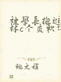 被学长抱进小树林c个爽软件
