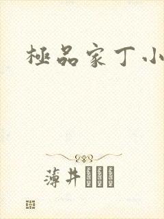 极品家丁小说