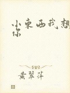 小东西我想弄坏你封面