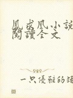 凤求凰小说免费阅读全文