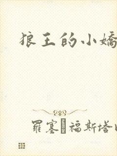 狼王的小娇妻