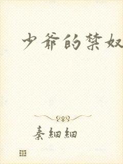 少爷的禁奴