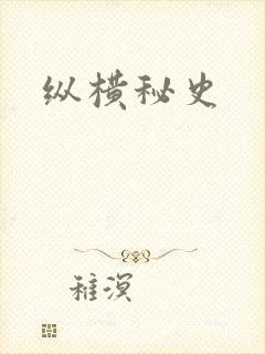 纵横秘史封面