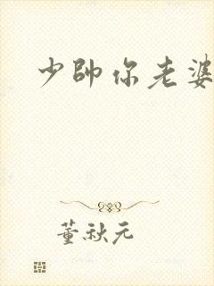 少帅你老婆