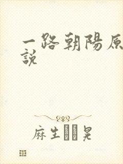 一路朝阳原著小说