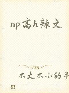 np高h辣文