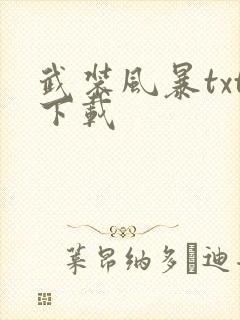 武装风暴txt下载