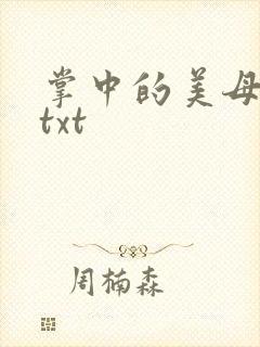 掌中的美母版主txt