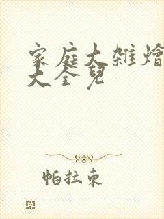 家庭大杂烩小说大全儿