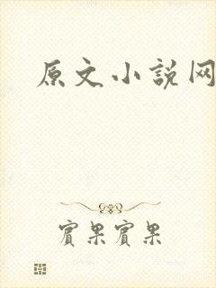 原文小说网