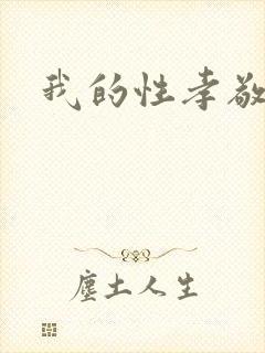 我的性孝敬封面