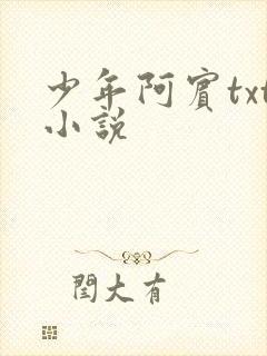 少年阿宾txt小说