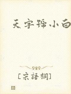 天字号小白脸
