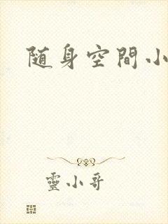 随身空间小说