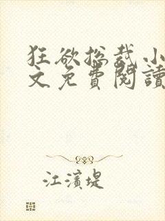 狂欲总裁小说全文免费阅读