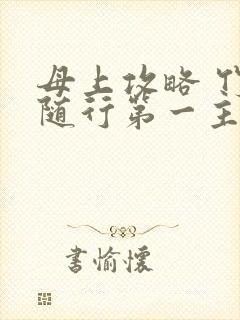 母上攻略 竹影随行第一主板
