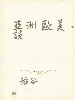 亚洲 欧美 小说