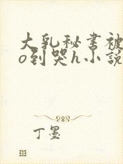 大乳秘书被cao到哭h小说