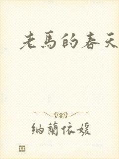 老马的春天敏静