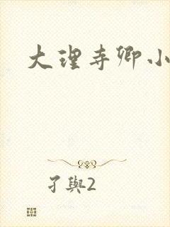大理寺卿小说