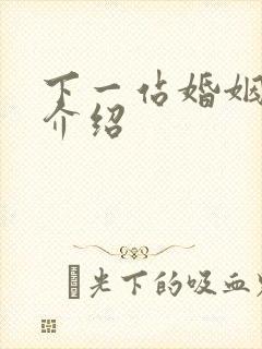 下一站婚姻剧情介绍