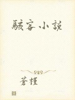 骇客小说