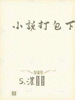 小说打包下载