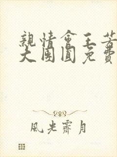 亲情会王芳高敏大团圆免费阅读