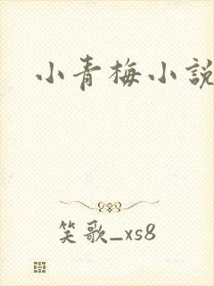 小青梅小说