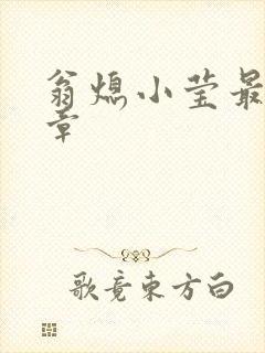 翁熄小莹最新节章