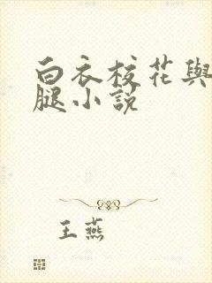 白衣校花与大长腿小说