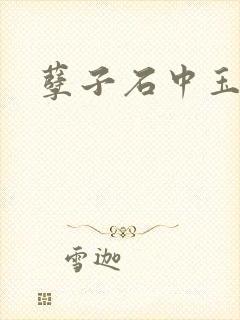孽子石中玉